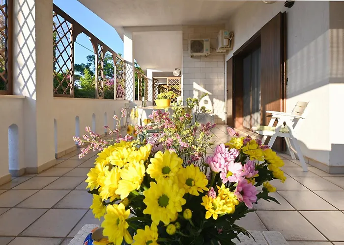 Apartment Delle Libellule *