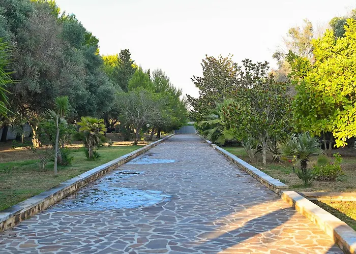 Delle Libellule Serranova