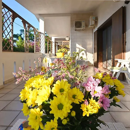 Apartman Delle Libellule *